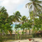 guadeloupe IMG